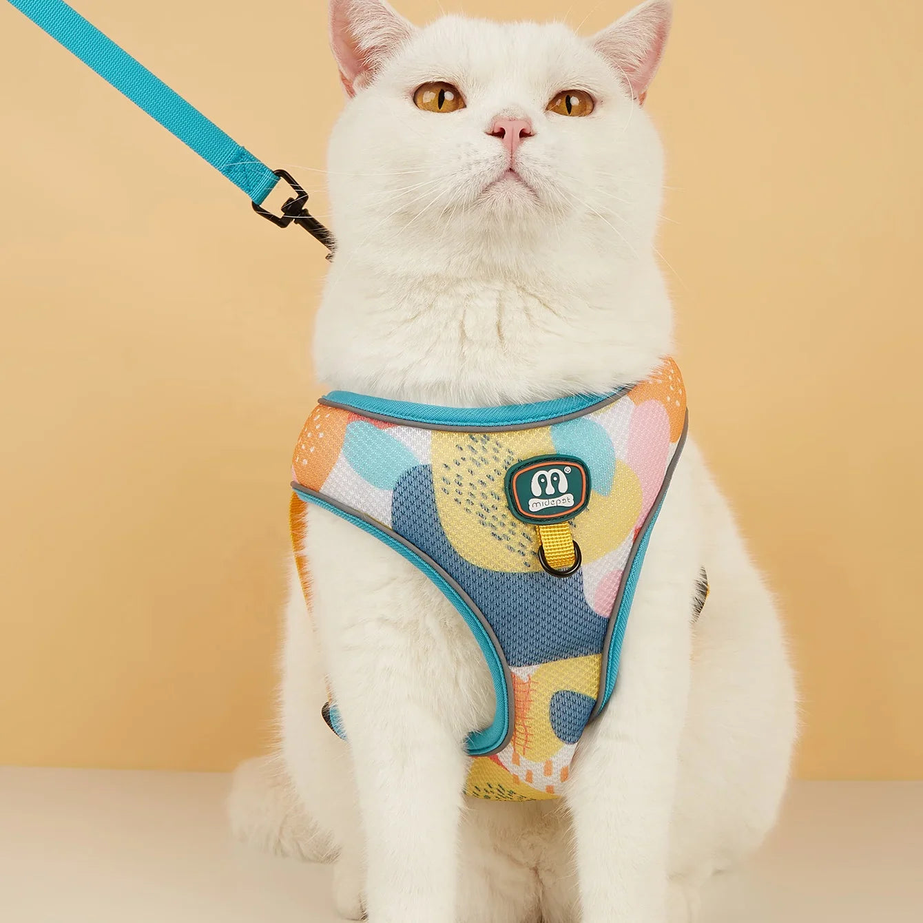 Cat accessories